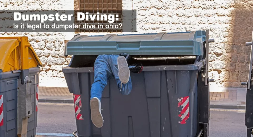 Dumpster Diving Laws: What's Legal in Florida and Texas