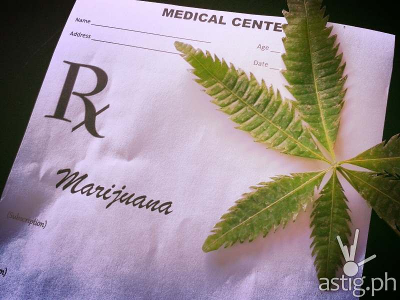 Marijuana Legality in the Philippines: Current Status and Regulations