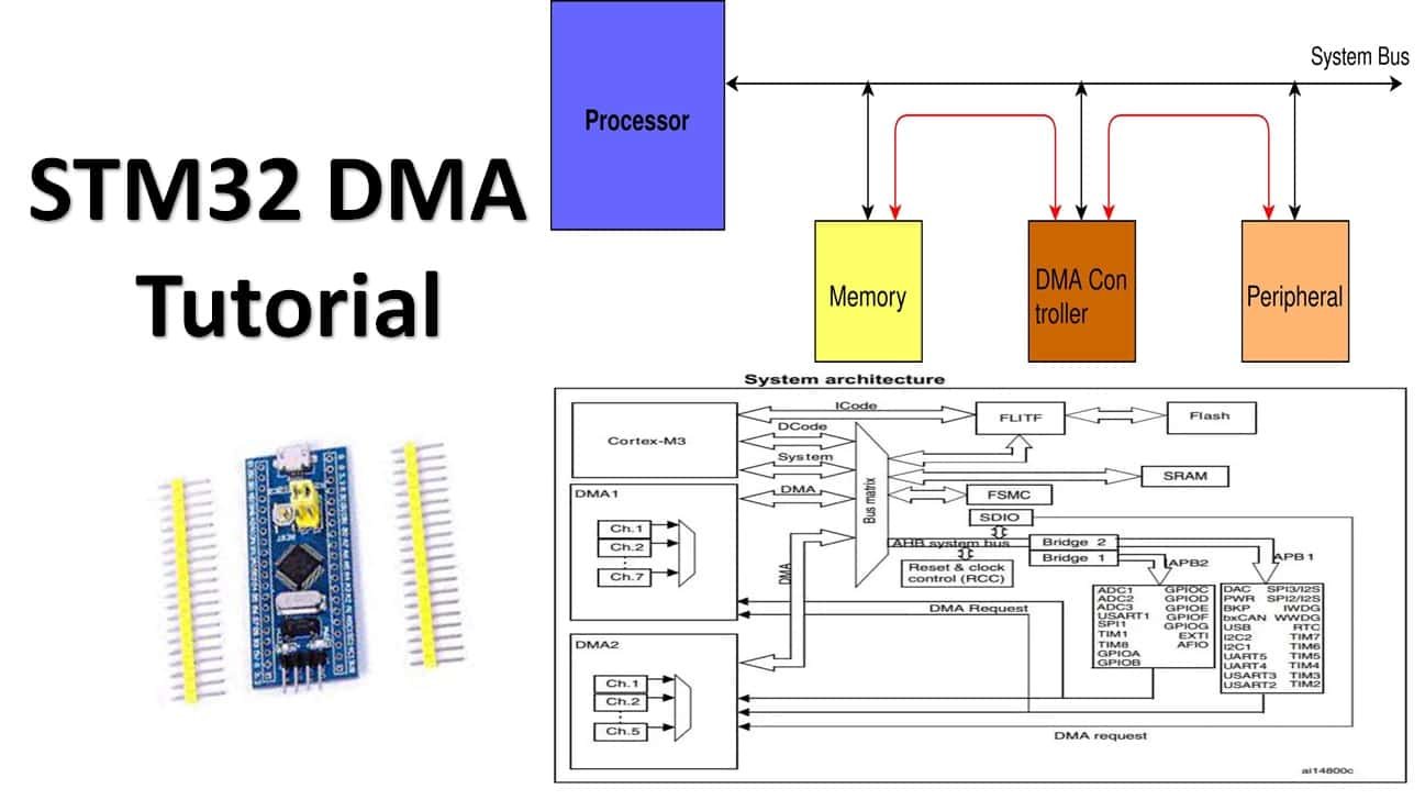 DMA in Marketing: Complete Guide to Designated Market Areas